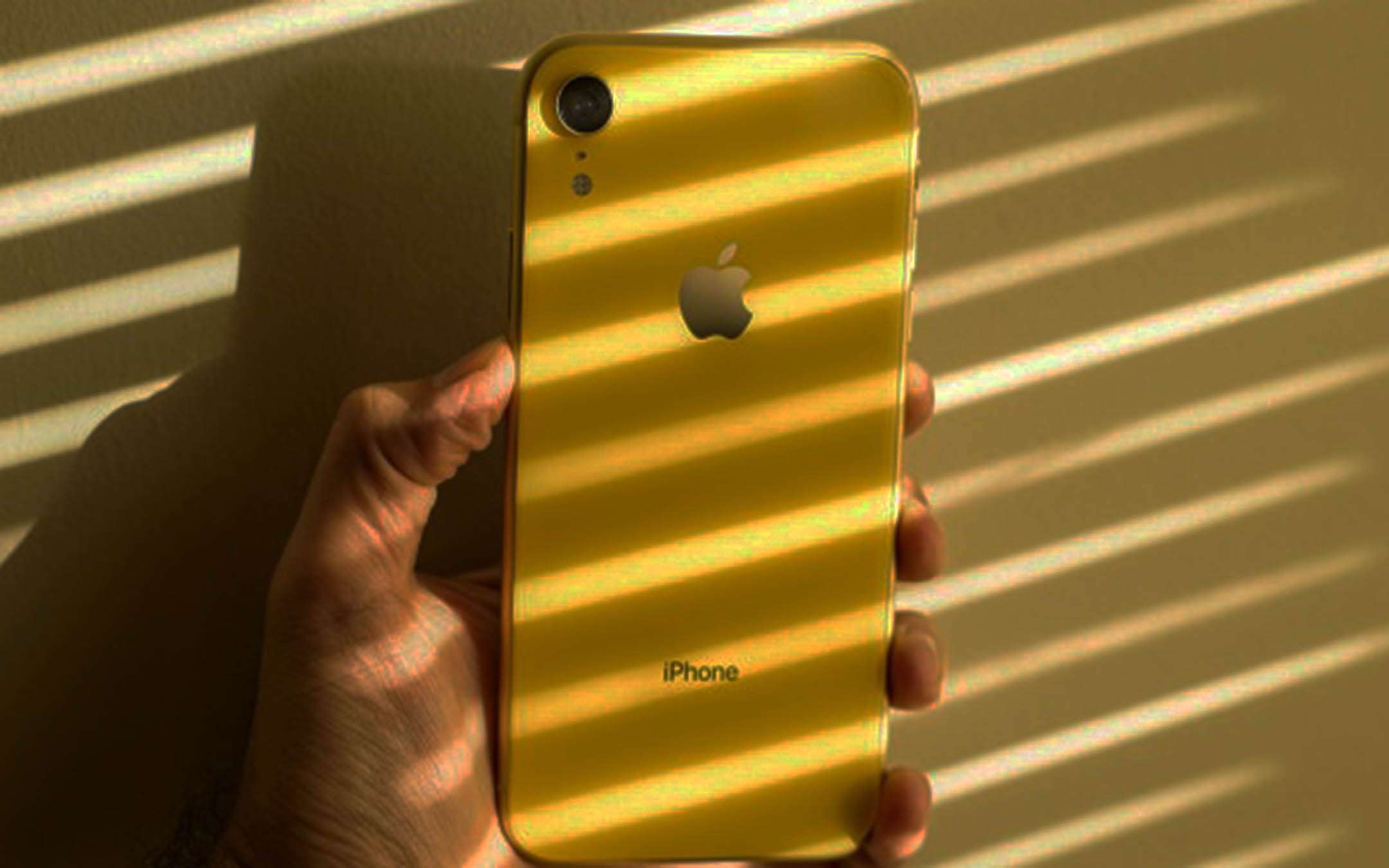 Apple iPhone Xr 2019 avrà due nuovi colori