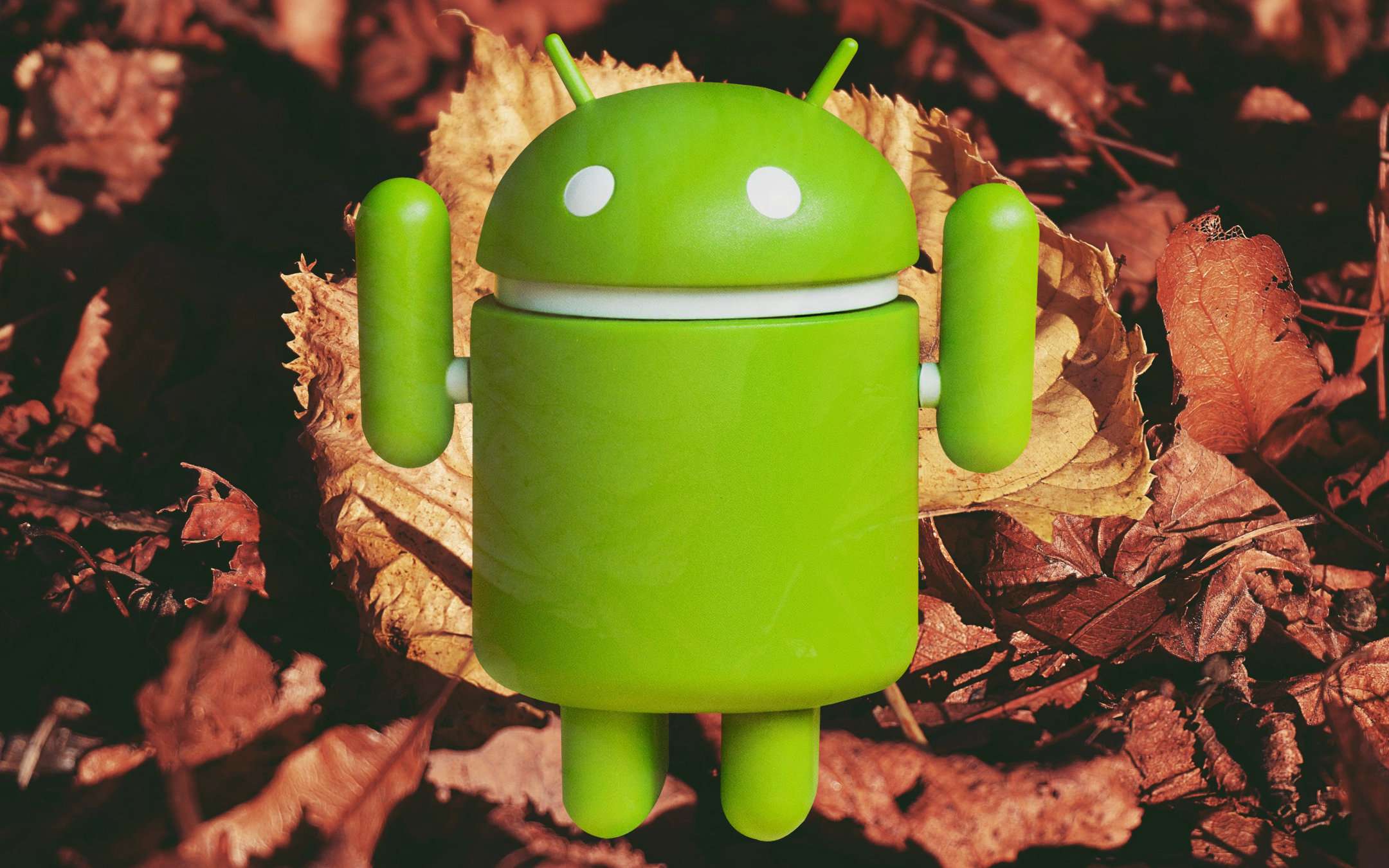 Google: Android 10 Go Edition arriverà in autunno