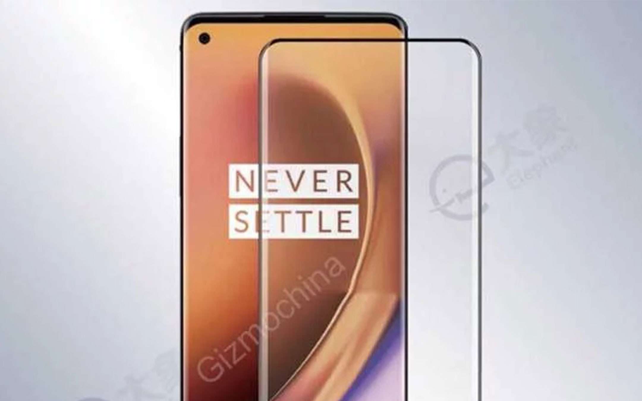 OnePlus 8 Pro: screen protector conferma il design