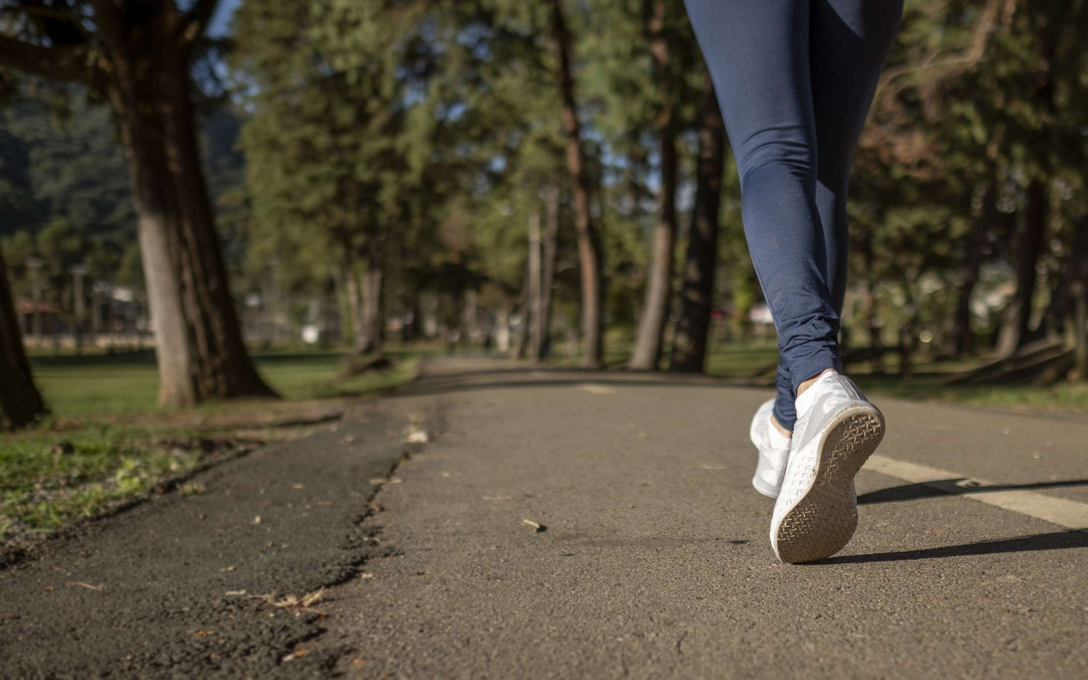 Modello Parco Sempione: a tre passi dalla normalità