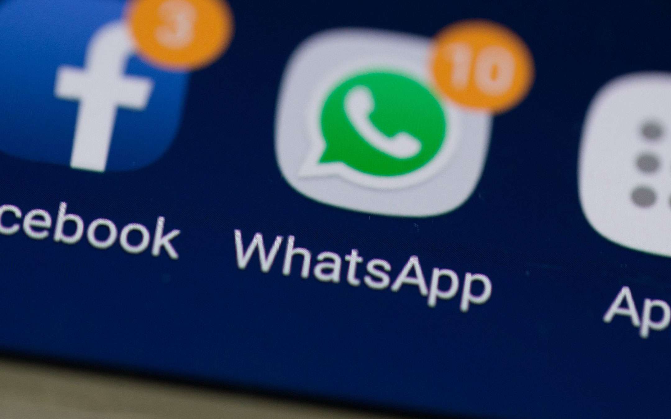 WhatsApp per Android: arrivano le ricerche sul Web