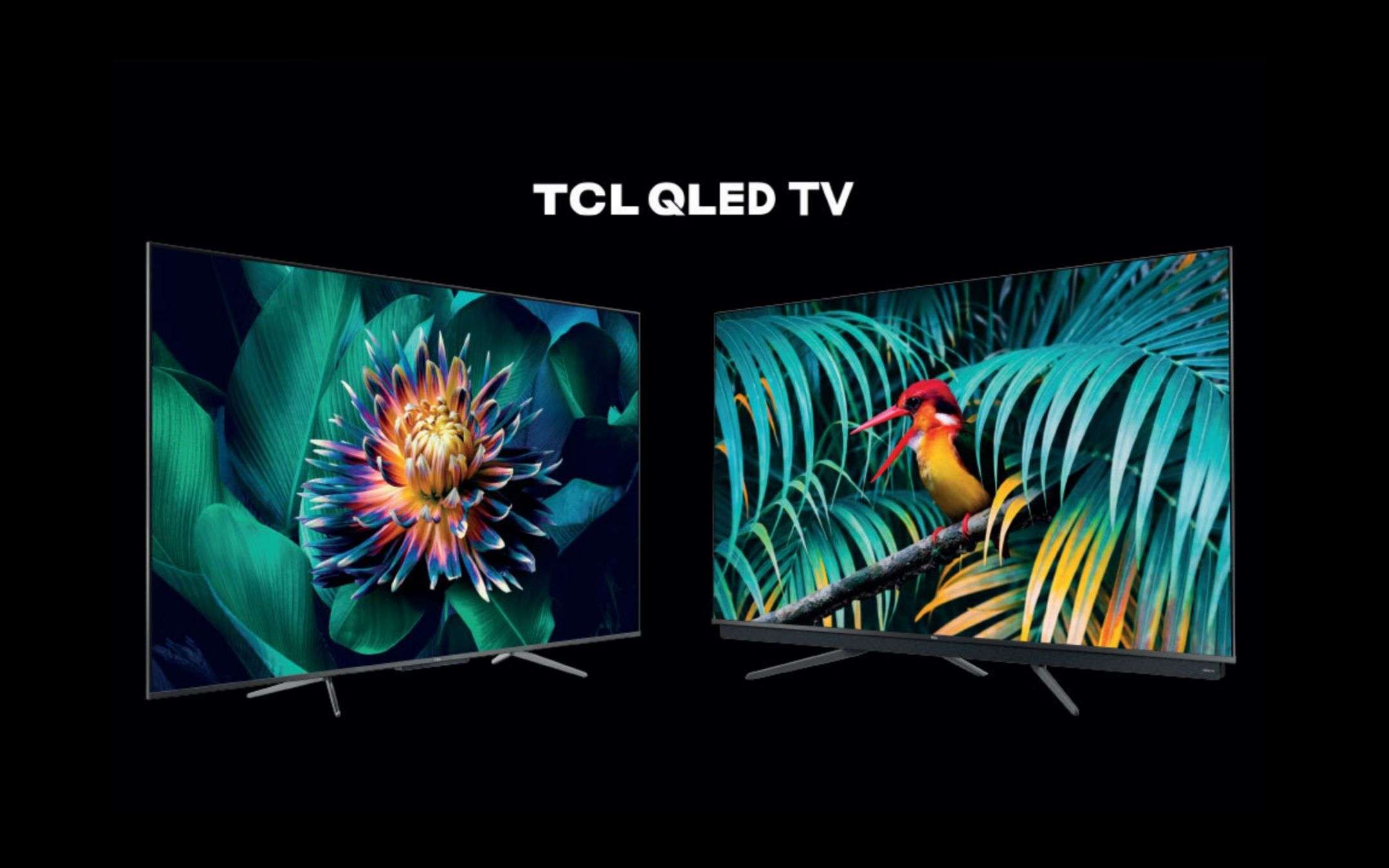 TCL C71 e C81: le serie QLED sbarcano in Italia