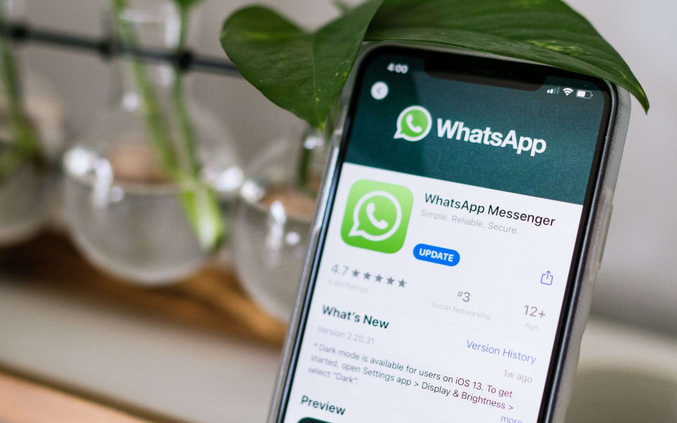 WhatsApp: c’è un problema di sicurezza con i backup