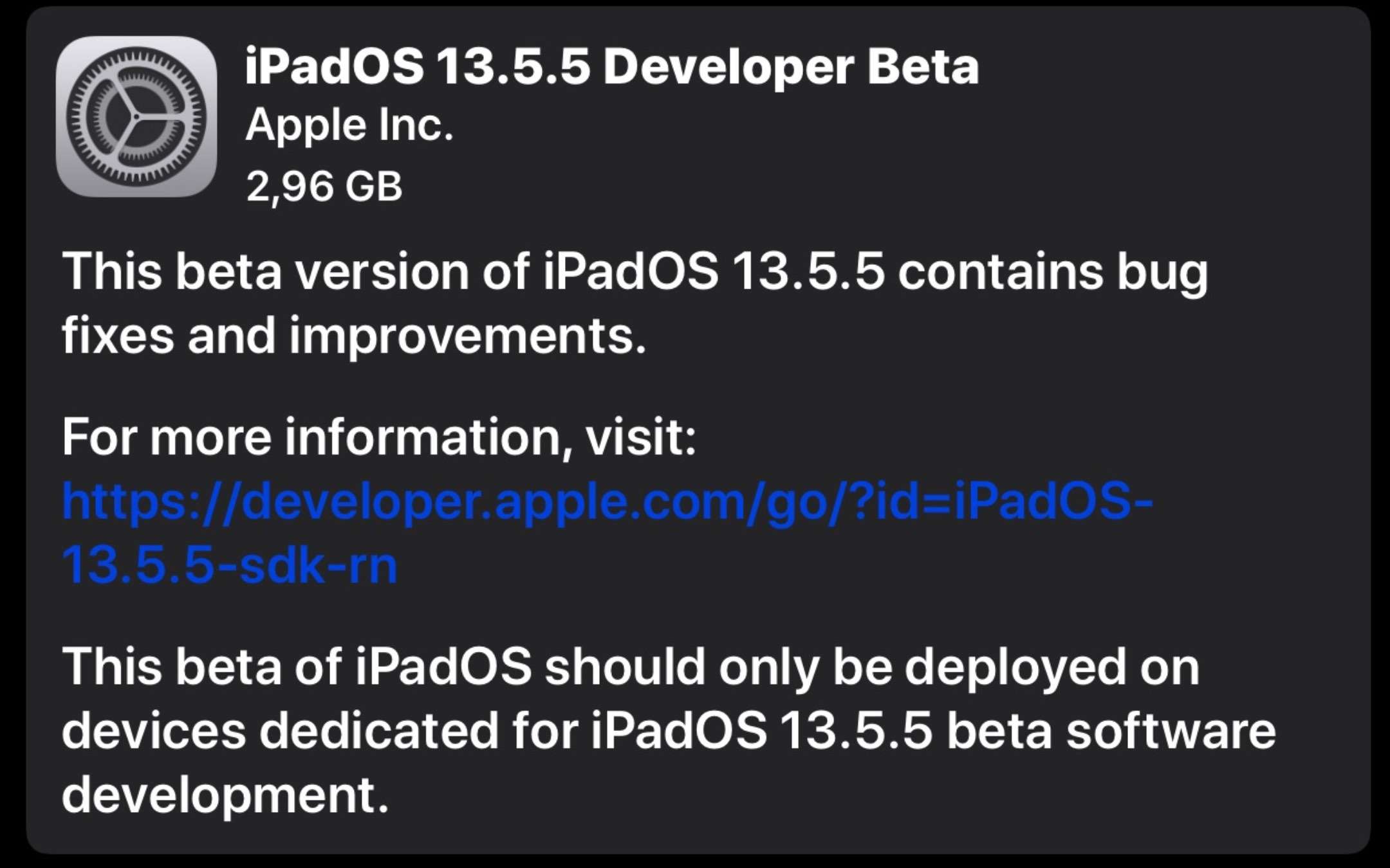 iPadOS 13.5.5: ecco come scaricare la prima beta