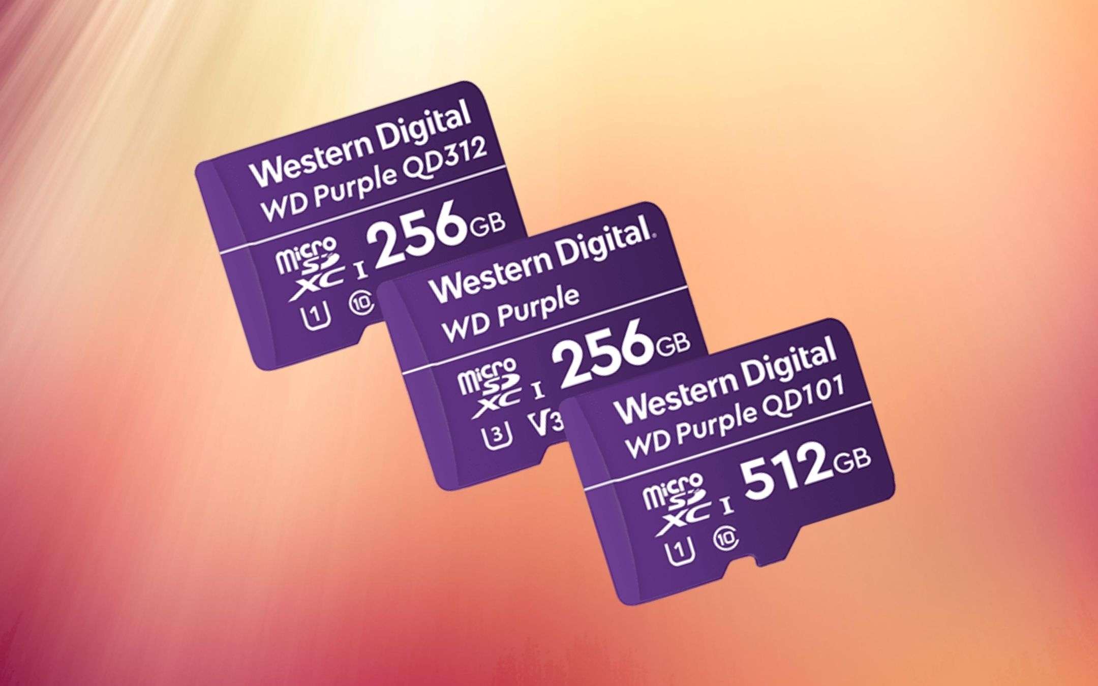 Western Digital: in Italia le nuove WD Purple