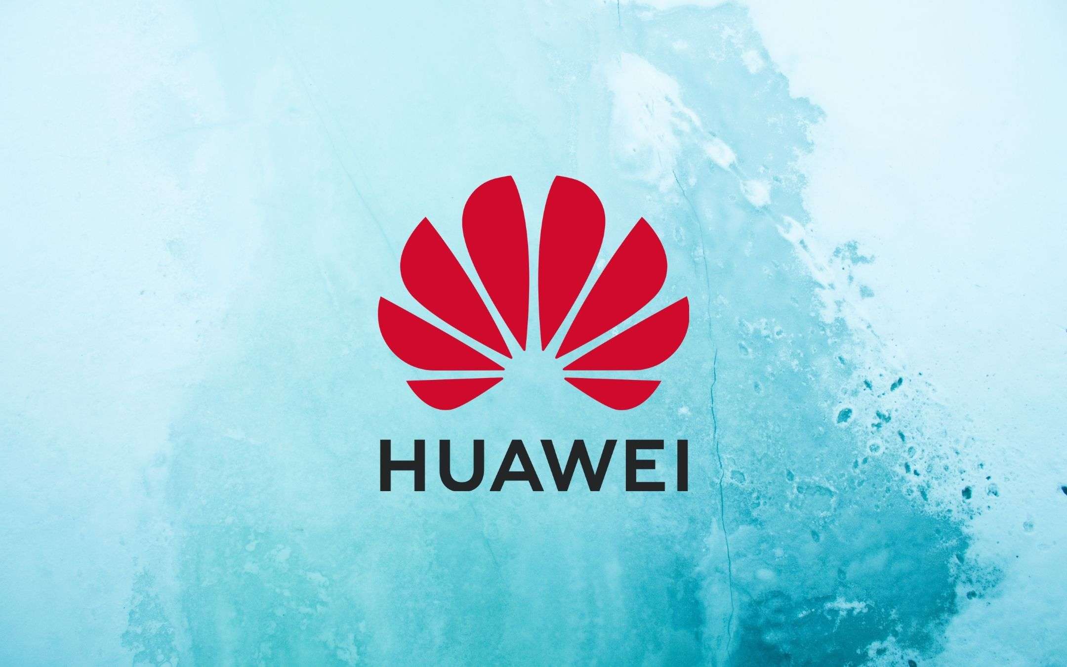 Huawei vuole tornare in pista e sfida la FCC