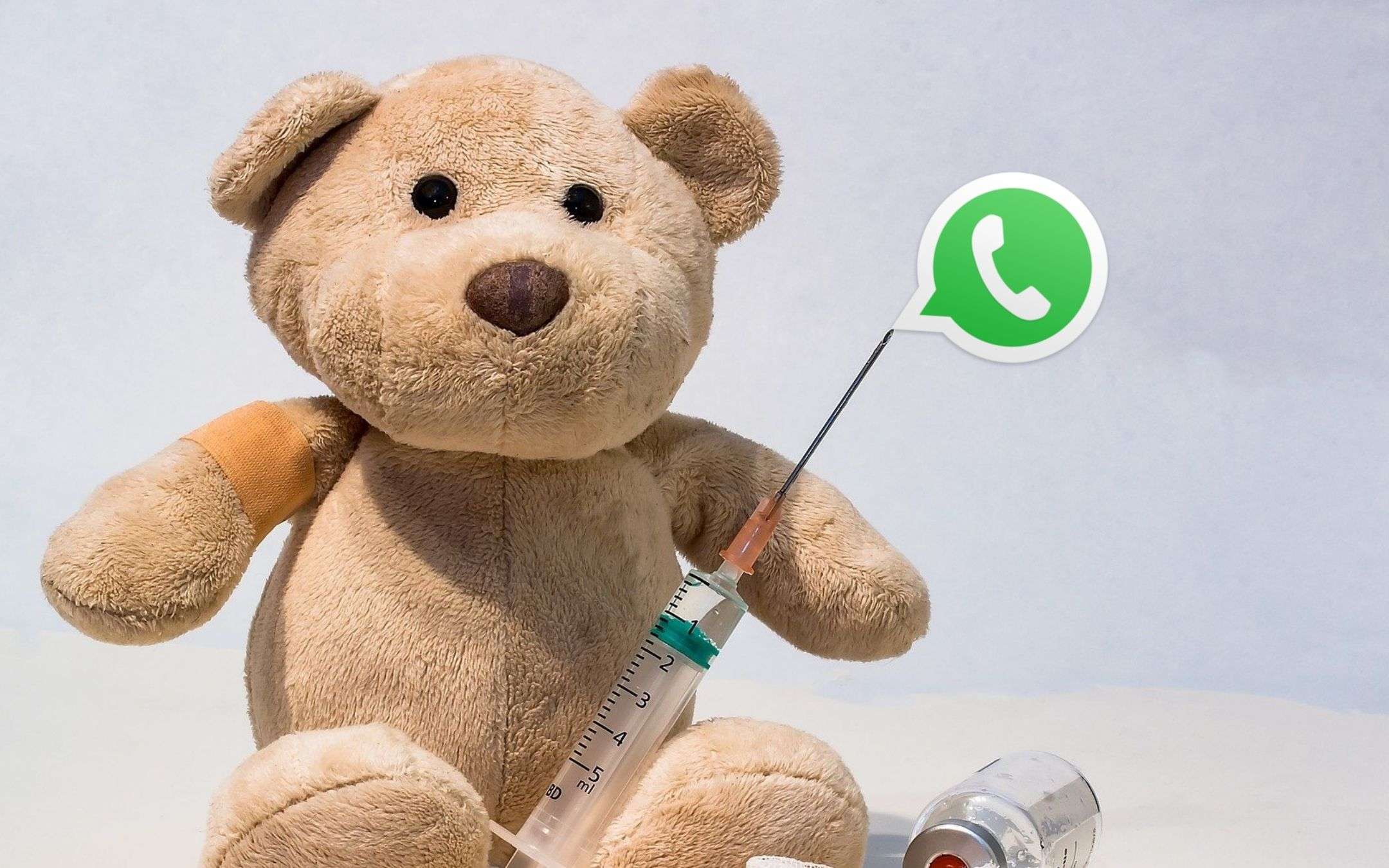 WhatsApp: ora è più facile dire a tutti che sei vaccinato