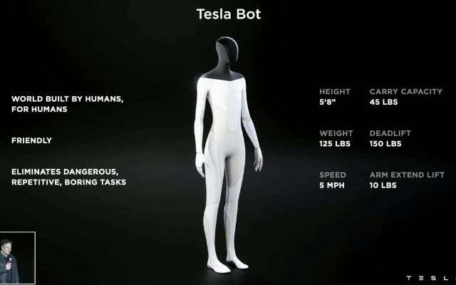 Tesla Bot