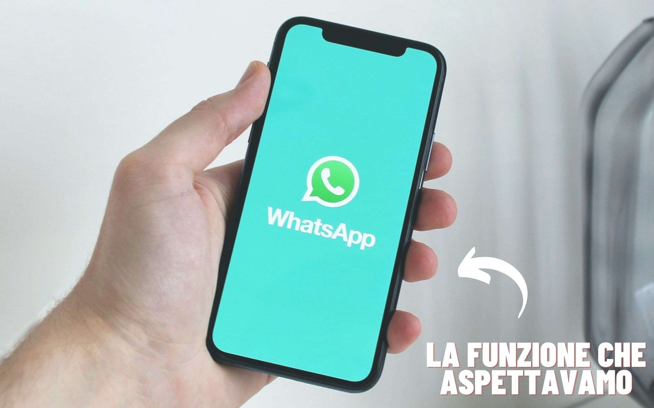 WhatsApp: con questo 