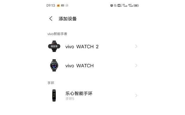 vivo watch