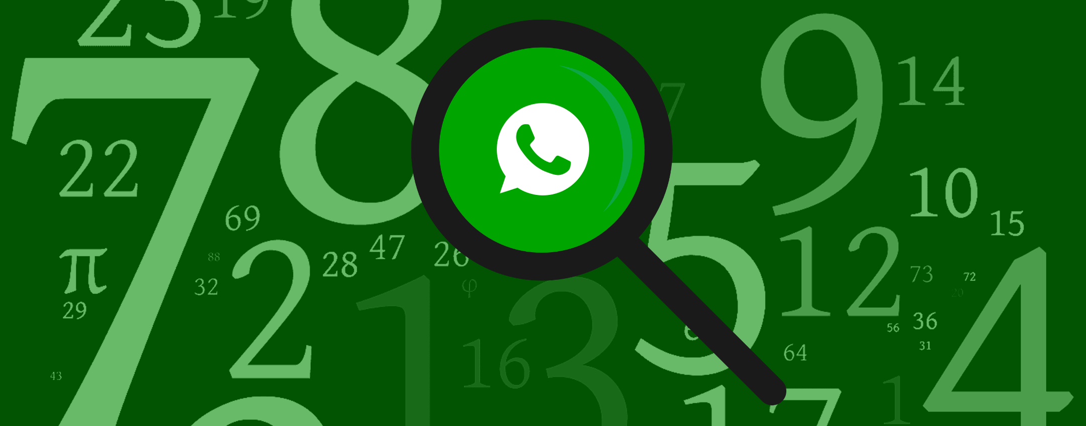 WhatsApp: il trucco per trovare persone di cui non conosci il numero