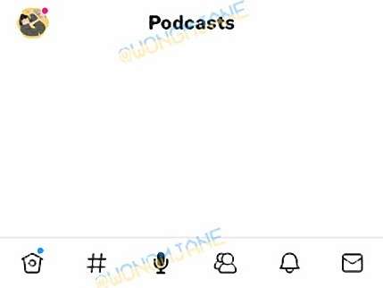 Twitter podcast (2)