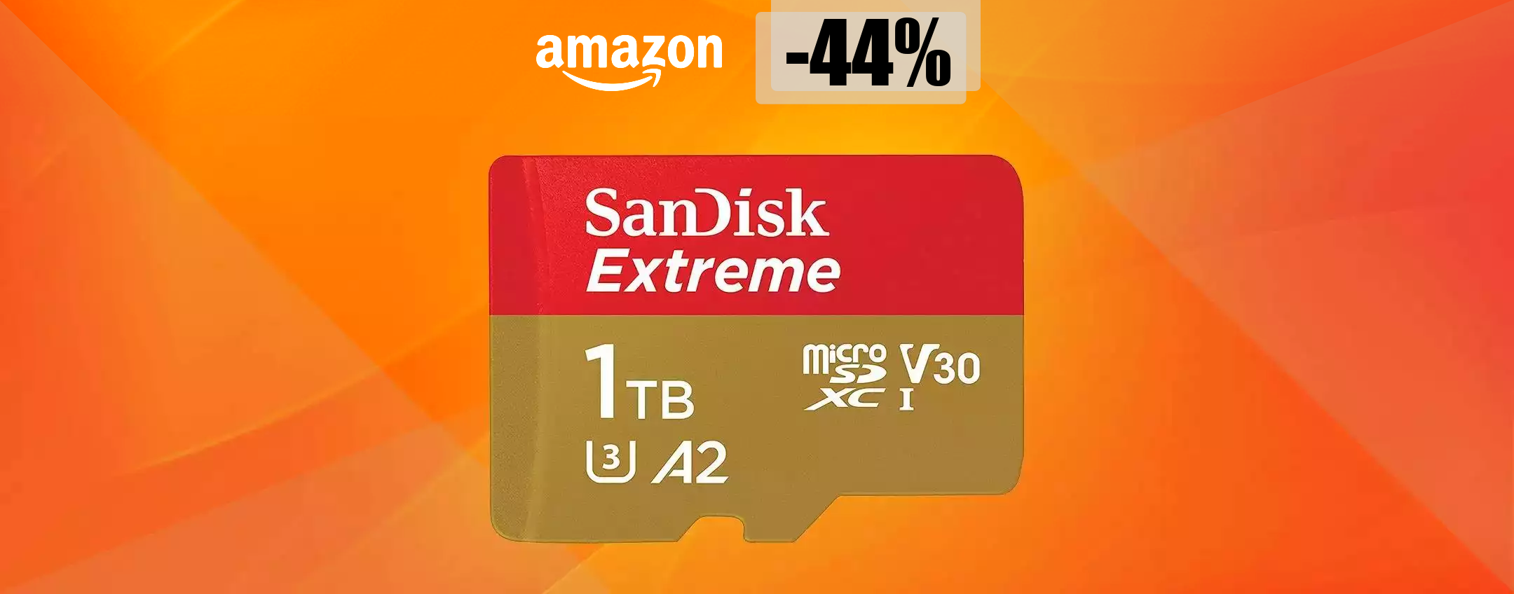 MicroSD 1TB: spazio sterminato a quasi METÀ PREZZO (poche unità)