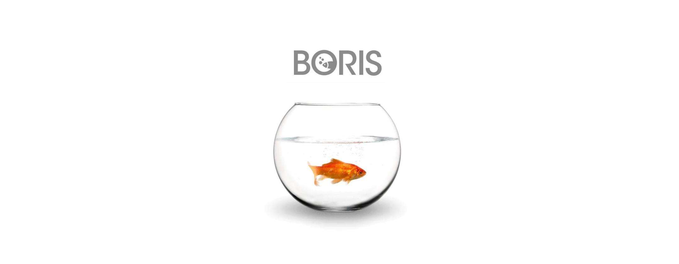 Boris, su Disney+ i nuovi episodi: risparmia ORA 2 mesi di abbonamento