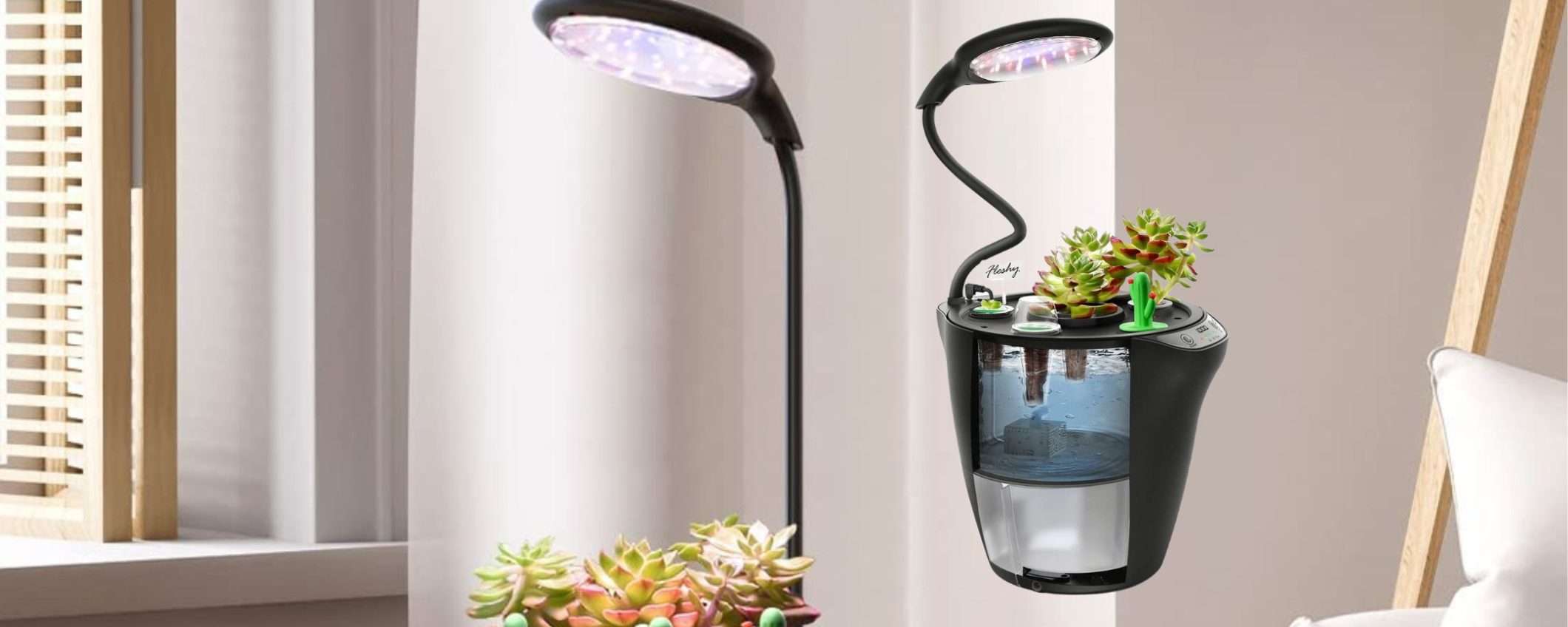 Giardino SMART da interni: uno spettacolo, sconto bomba del 50% (39€)