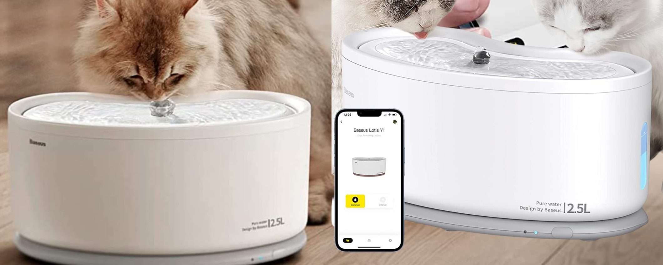 Ami i gatti e la tecnologia? La fontana SMART a 39€ è imperdibile