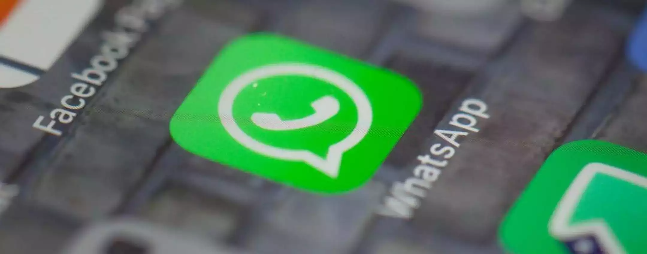 WhatsApp cresce e si rinnova ancora Ecco le sette novità dell'applicazione  - Cronaca