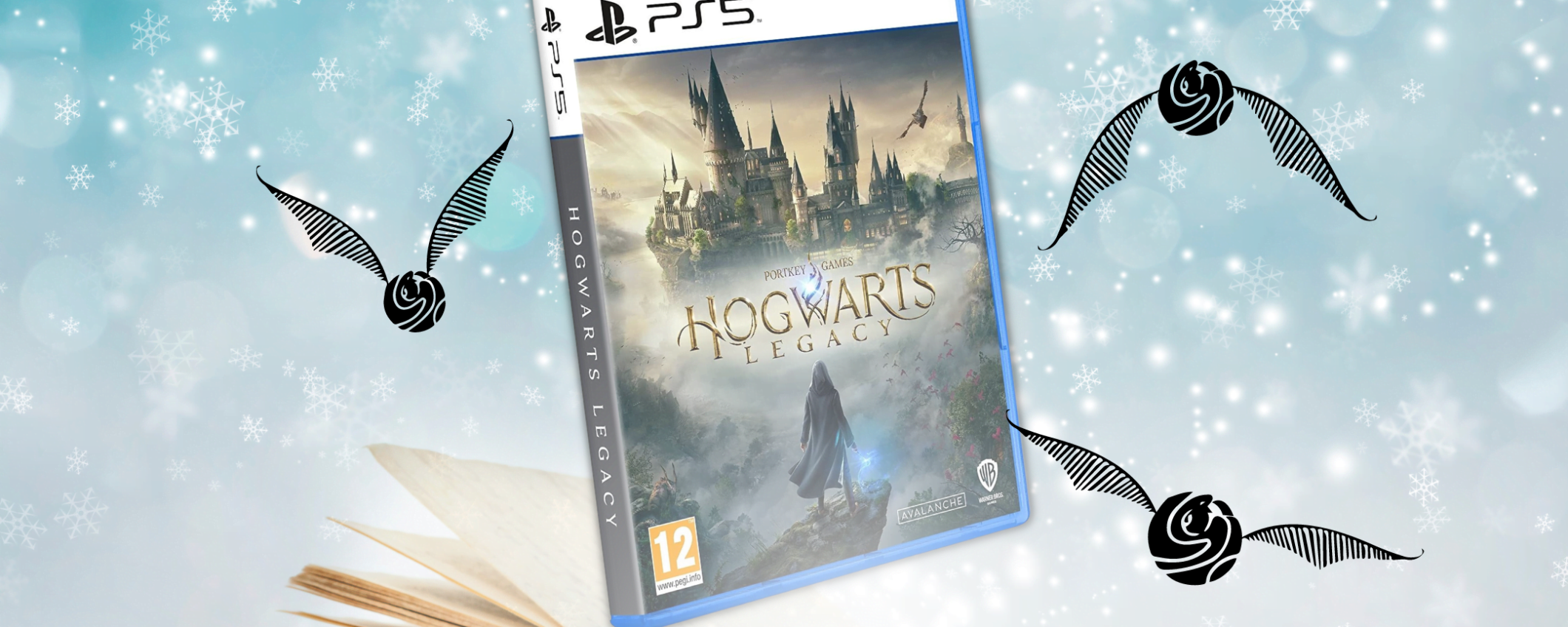 Hogwarts Legacy per PS5 a €58,90: FANTASTICA offerta su eBay