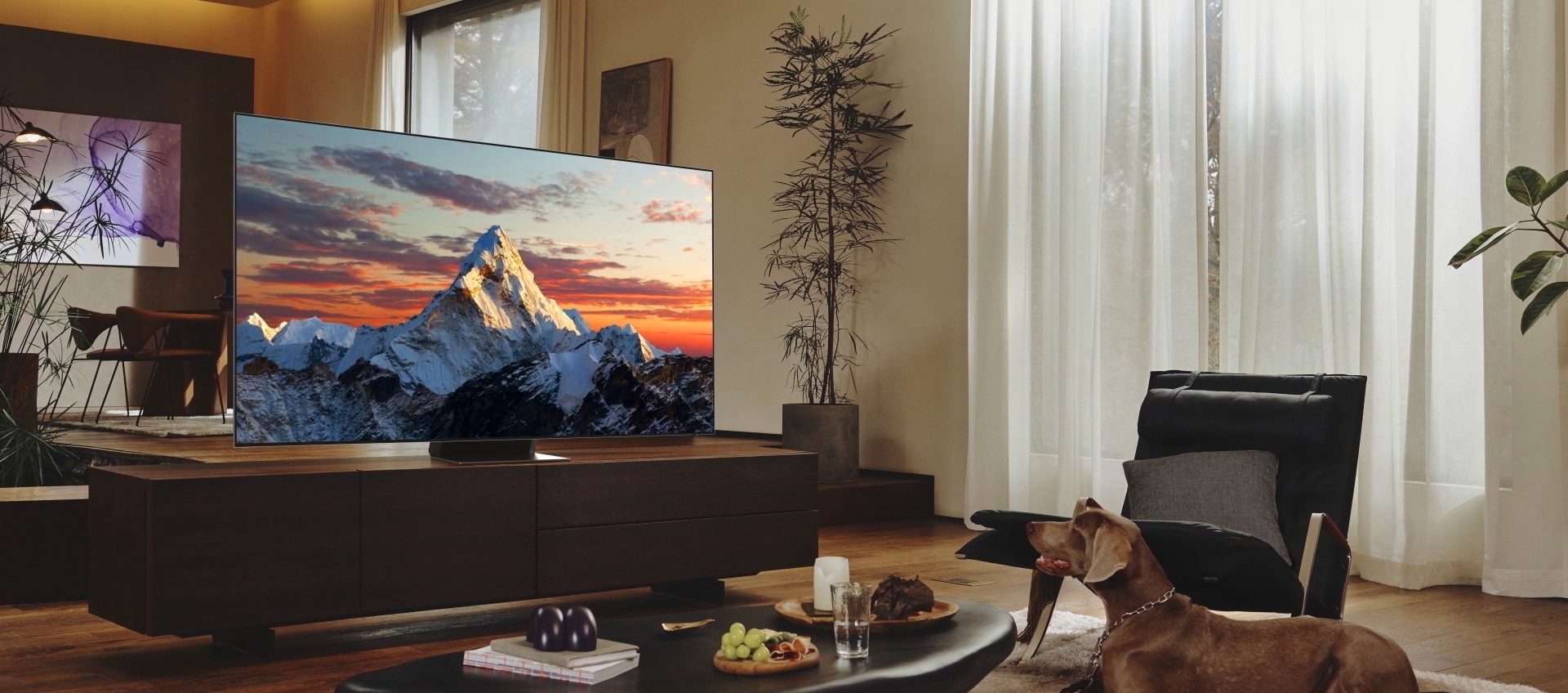 TV QLED Samsung da 50