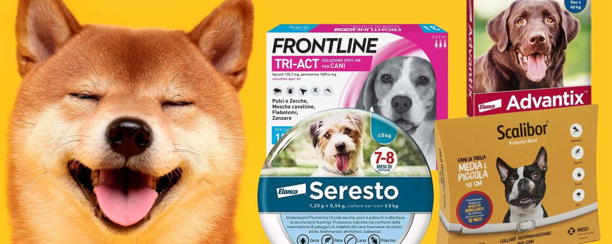 Antiparassitario di qualità per cani: i MIGLIORI costano molto meno su Amazon