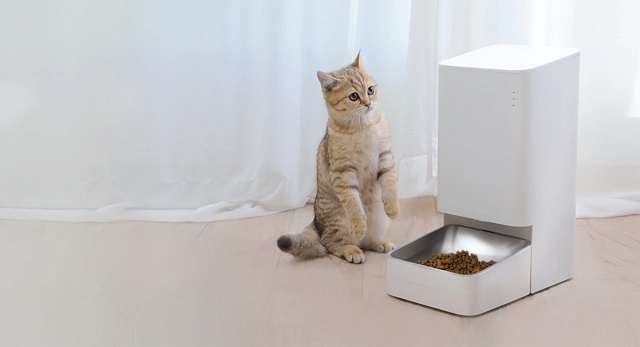 xiaomi smart pet food feeder gatto