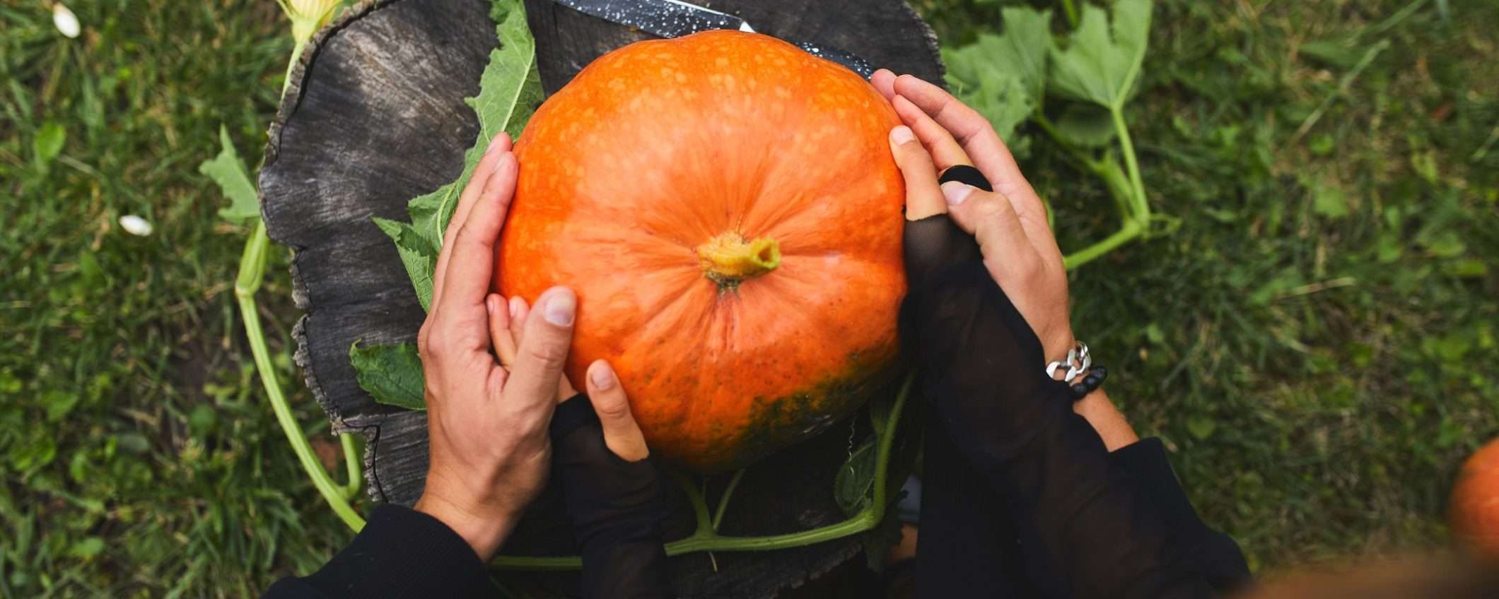 Conto Corrente Arancio: risparmi al sicuro e ZERO spese