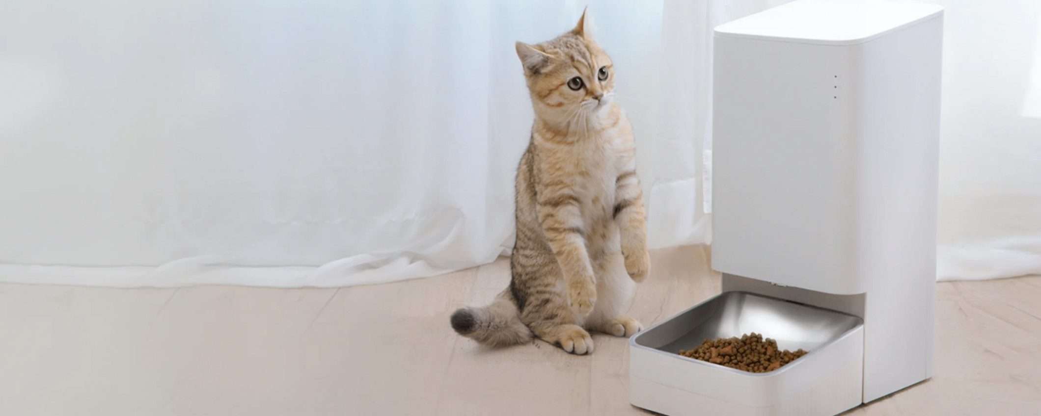 Xiaomi Smart Pet Food Feeder: 40% di sconto sul Mi Store