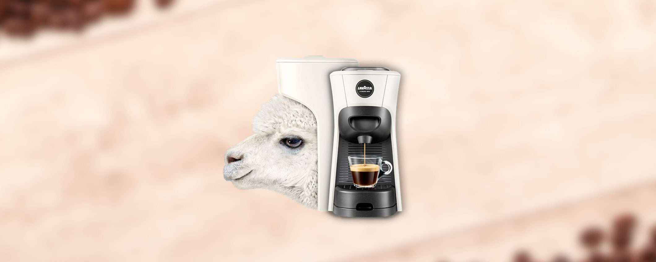 Macchina del Caffè Lavazza a Modo Mio: che SCONTO su eBay (-35%)