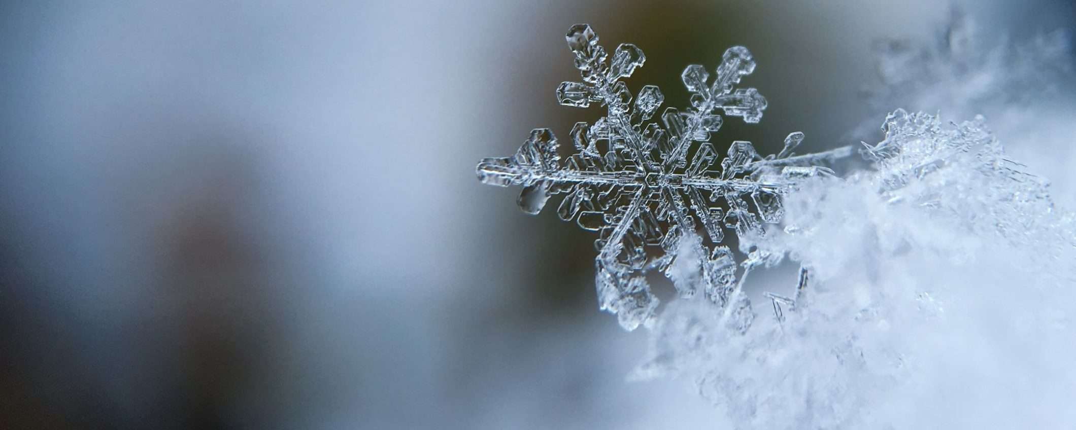 Non farti trovare impreparato dall'inverno con questa stufetta elettrica SCONTATISSIMA