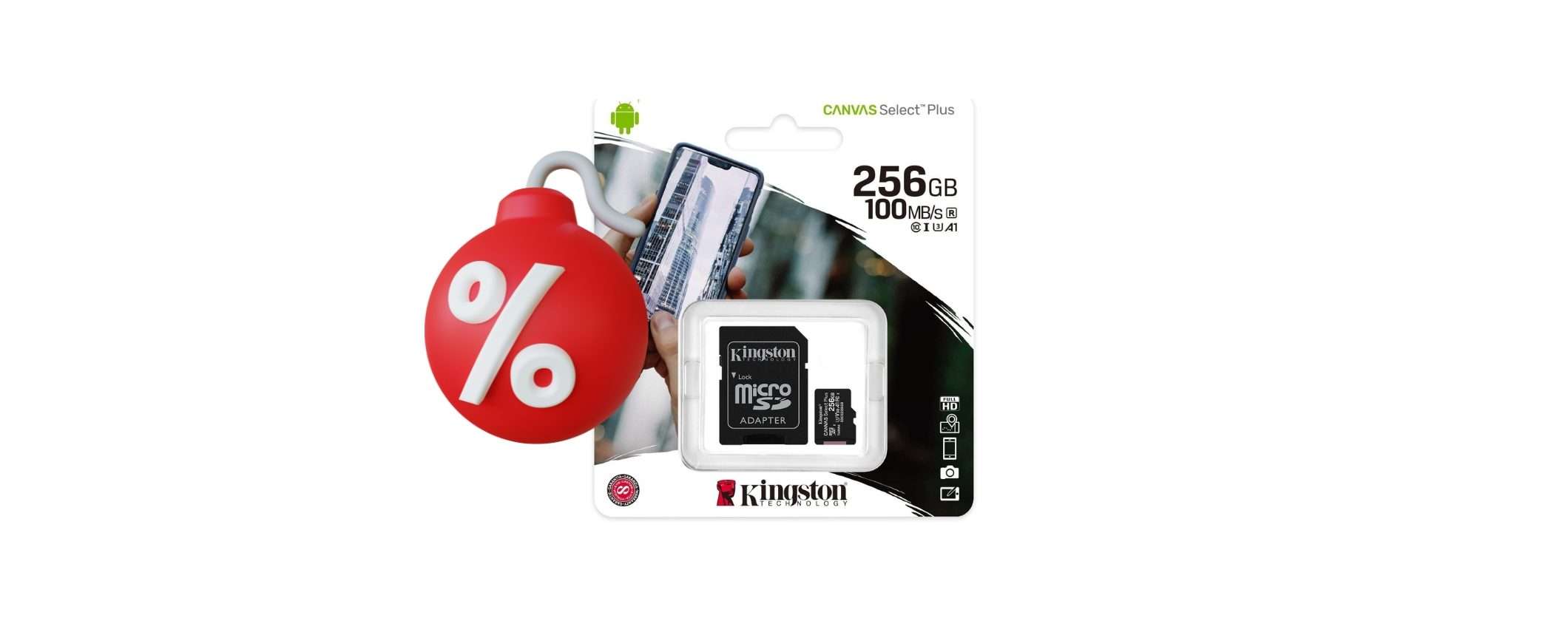 MicroSD Ultra Veloce 256GB a PREZZO FOLLE su eBay