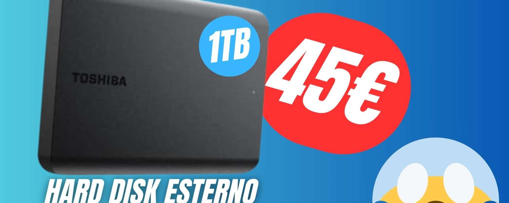 Dì addio allo spazio d'archiviazione insufficiente con questo HARD DISK da 1TB a soli 45€!