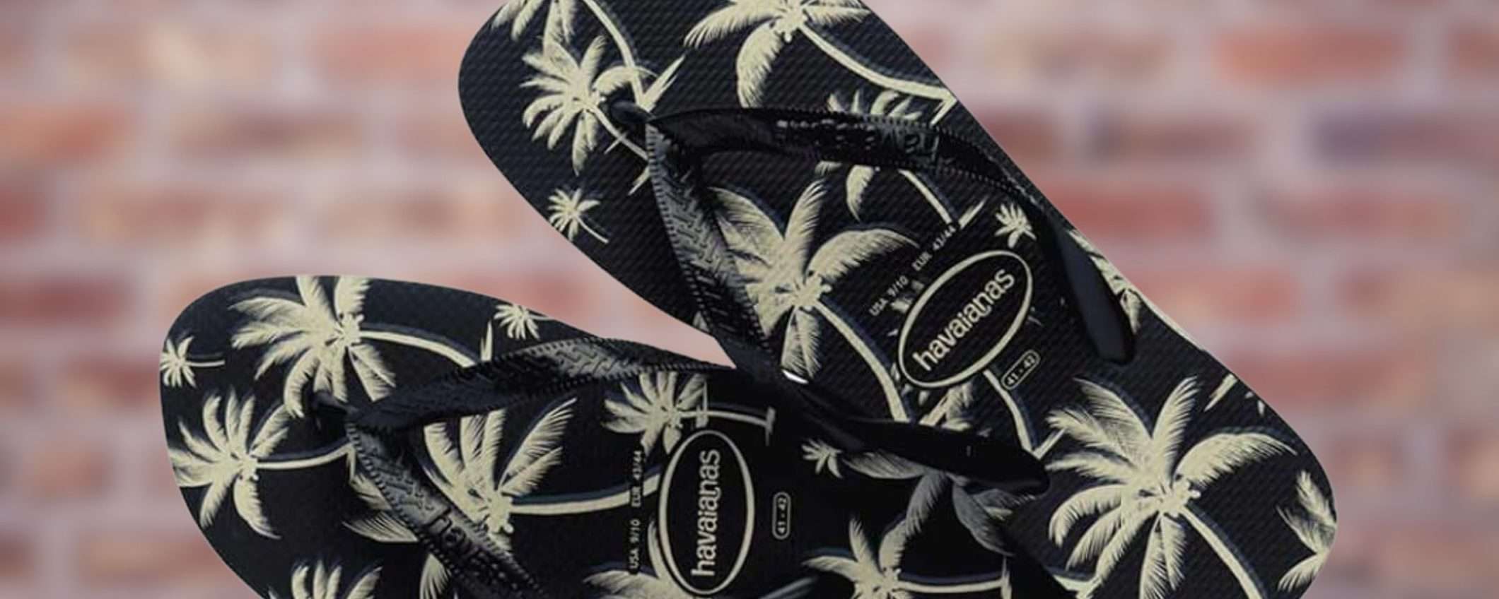 Infradito Havaianas a 8€: sconto 60% su Amazon, mini prezzo LIMITATISSIMO