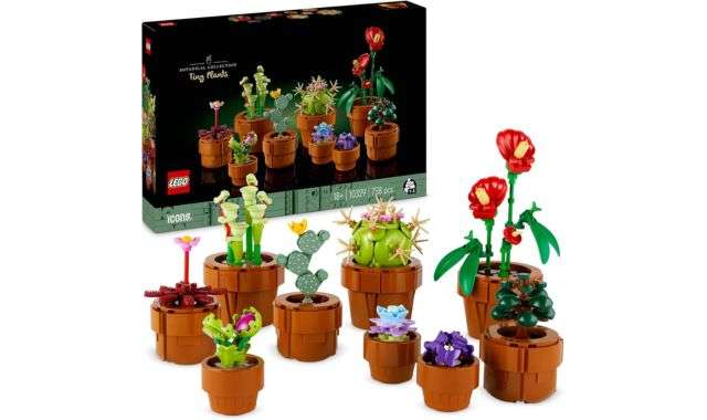 Il nuovo set LEGO Collezione Botanica è in PREORDINE su