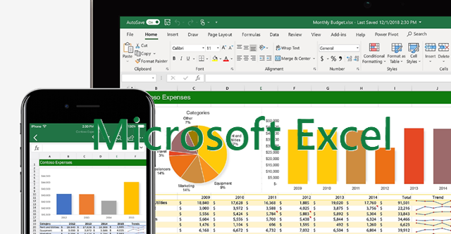 Fogli Google vs Microsoft Excel