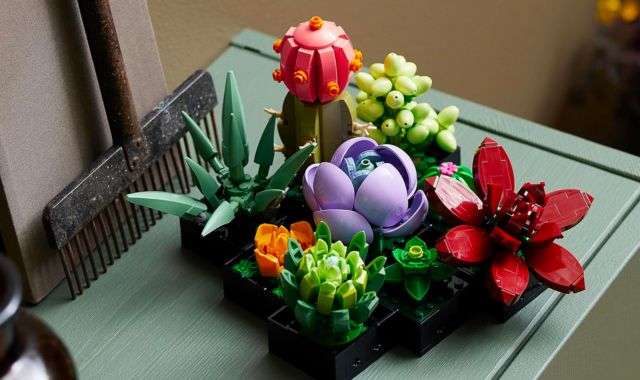Idea Regalo LEGO San Valentino: il set Piante Grasse è in offerta su