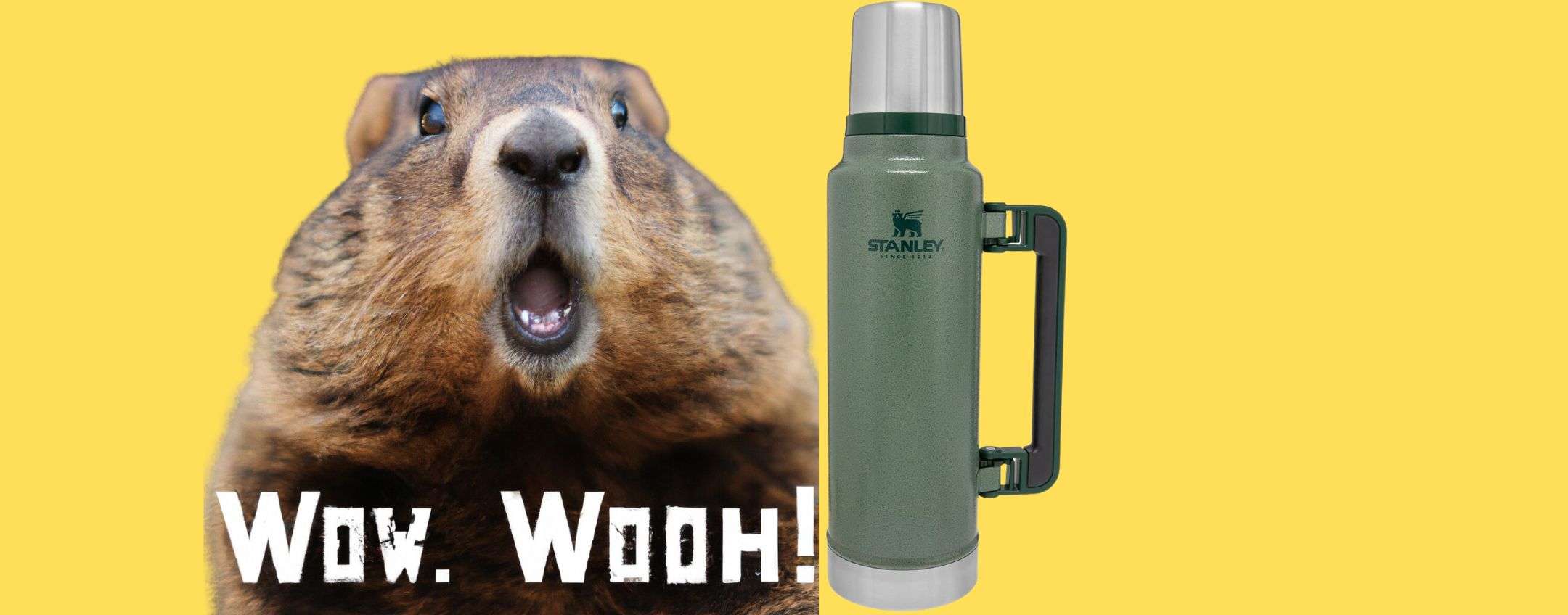 Bevande Perfette per 40 Ore con la Stanley Thermos 1.4L: affare su