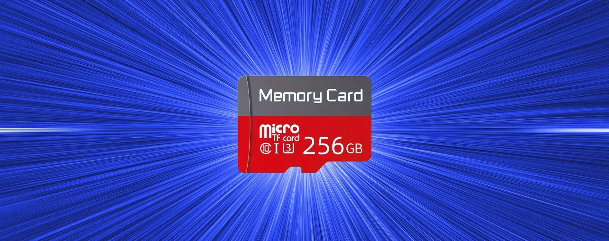 MicroSD 256GB a soli 15€ su TEMU: acquistala subito