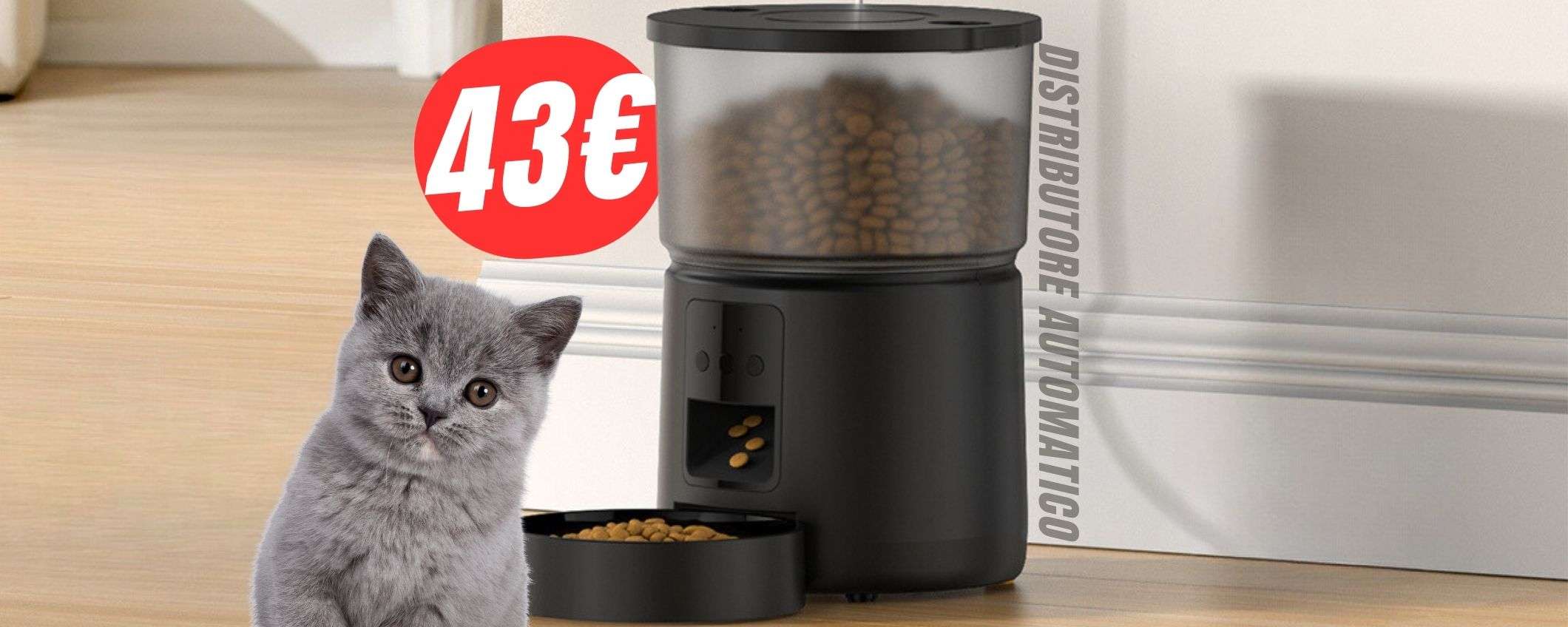 Questo distributore nutre i tuoi animali in autonomia (e costa solo 43€!)
