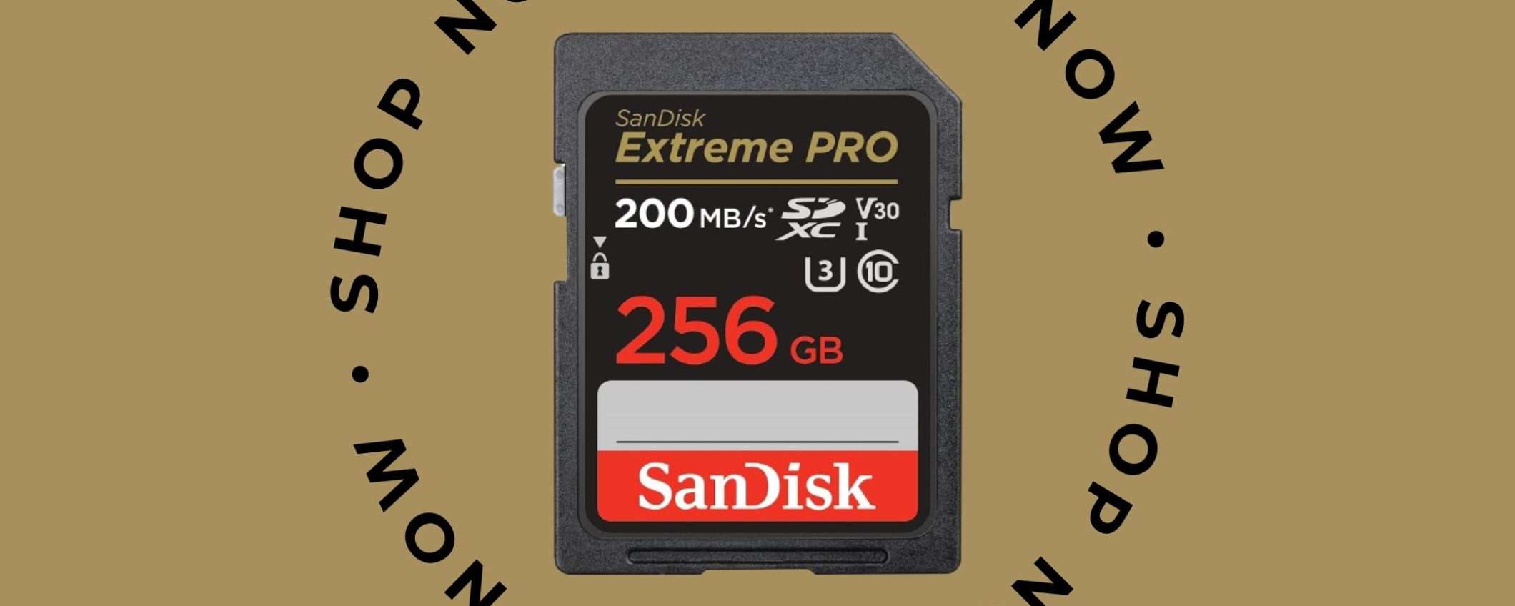 SD SanDisk Extreme PRO da 256GB: lo sconto del 53% di Amazon vi OBBLIGA all'acquisto