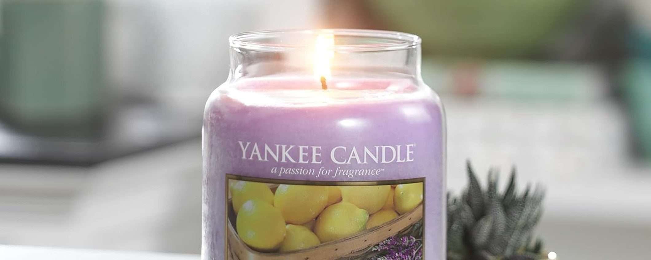 Candela profumata Yankee Candle Lavanda al Limone ad un SUPER PREZZO su Amazon