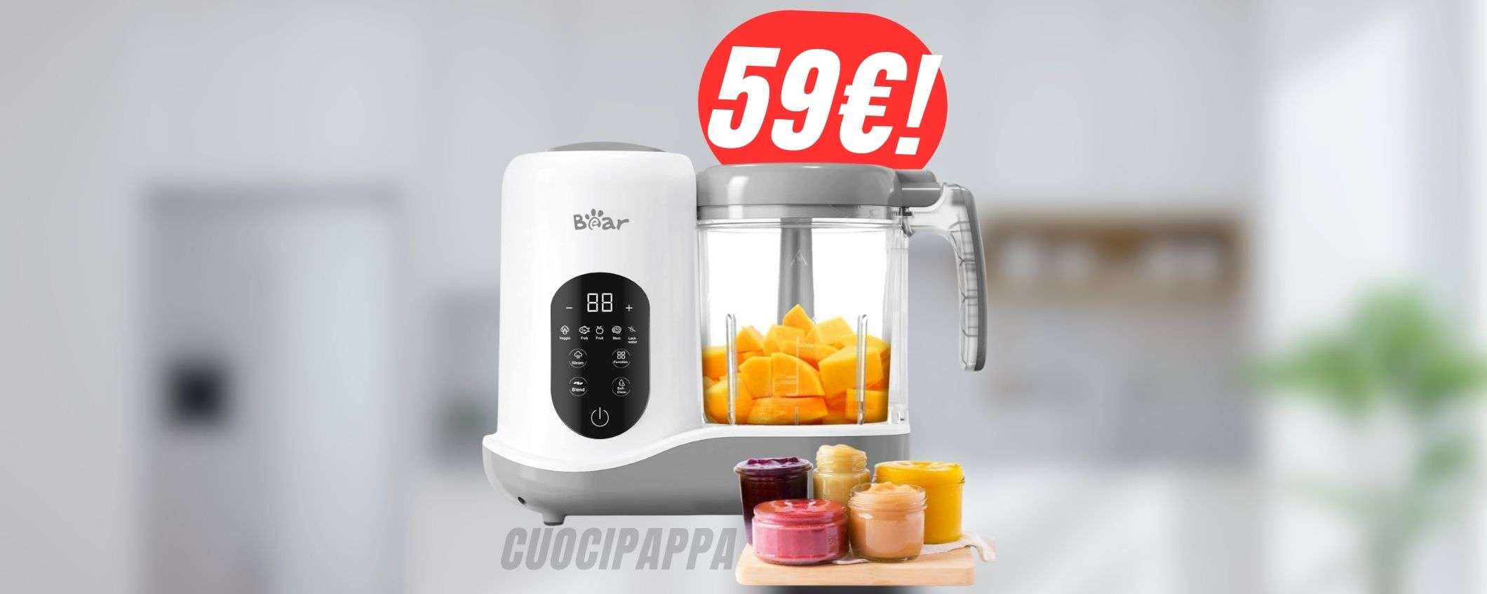 Prepara gli OMOGENIZZATI in CASA per soli 59€ con questo mixer!