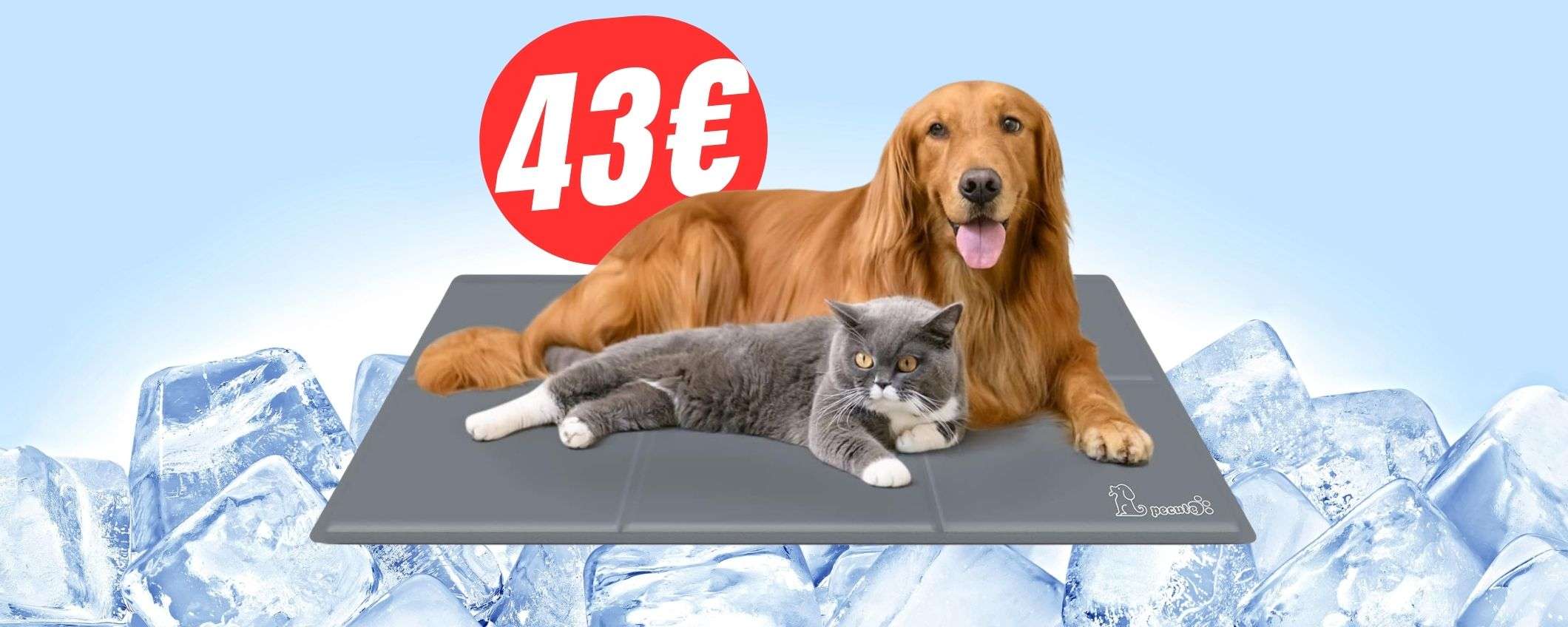 Estate fresca per i tuoi amici a quattro zampe: il tappeto refrigerante XL è in SCONTO!