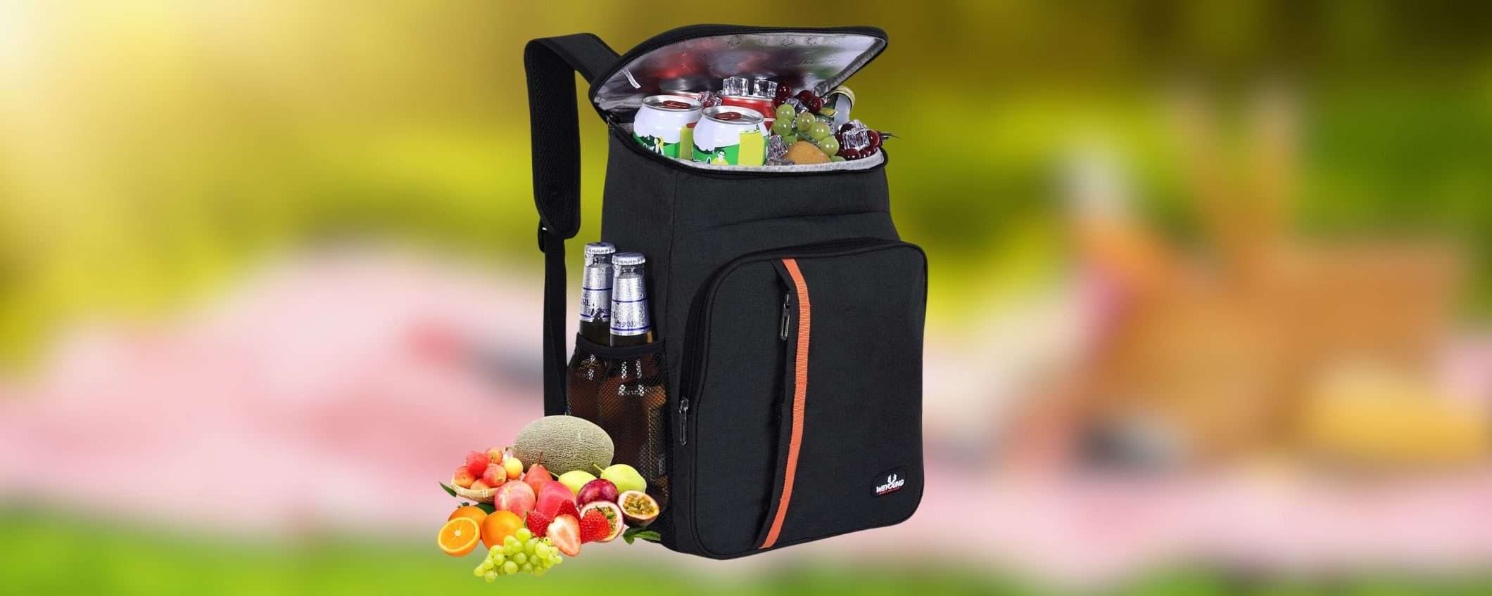 Zaino termico da 23 litri, perfetto per campeggio, spiaggia o pic nic, in offerta Amazon