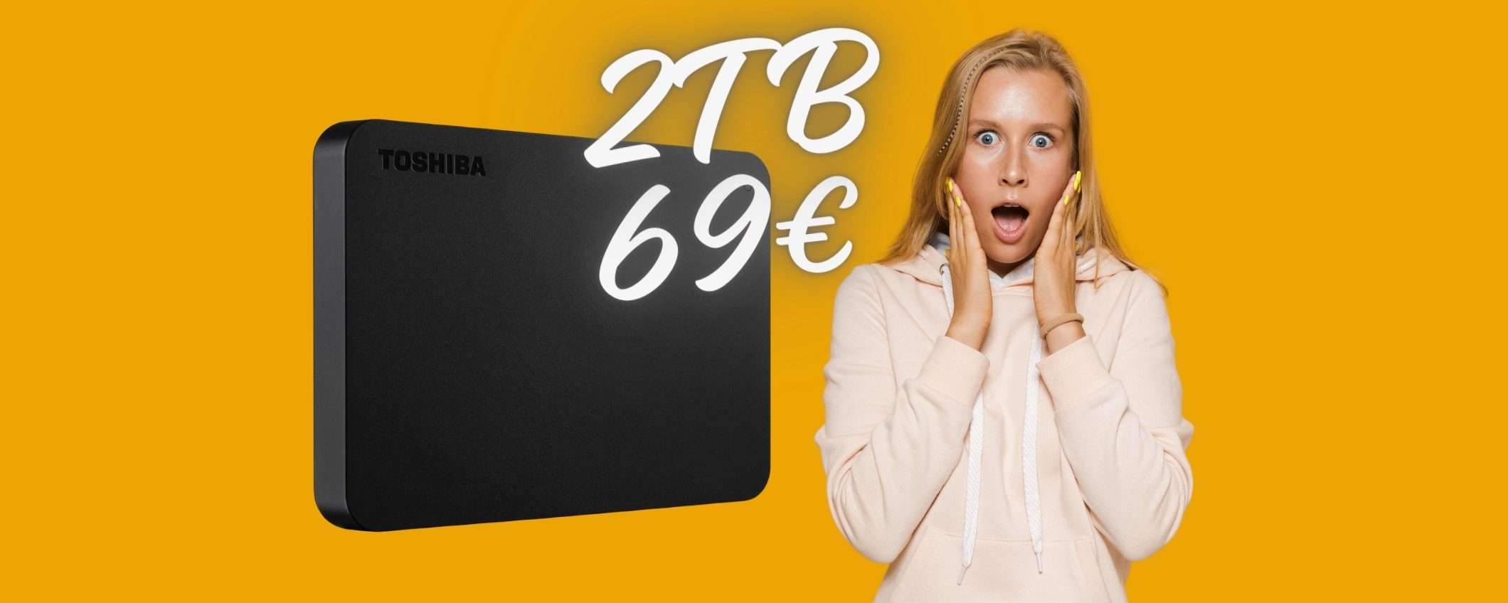 Hard Disk Toshiba da 2TB a 69€: ERRORE PREZZO o PAZZIA eBay?