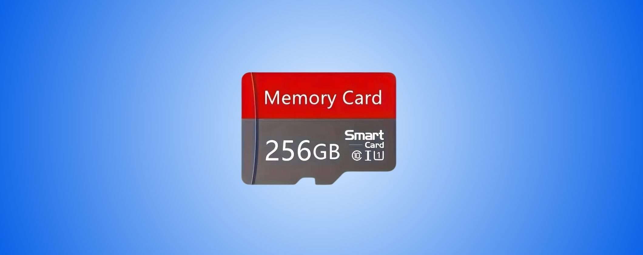 MicroSD fino a 256GB da soli 5€ in OFFERTA su TEMU