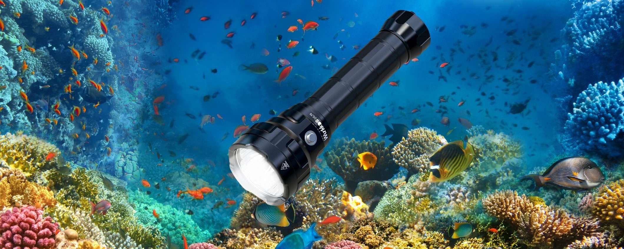 Torcia subacquea da 13000 LUMEN per le tue IMMERSIONI: offertissima Amazon (-23%)