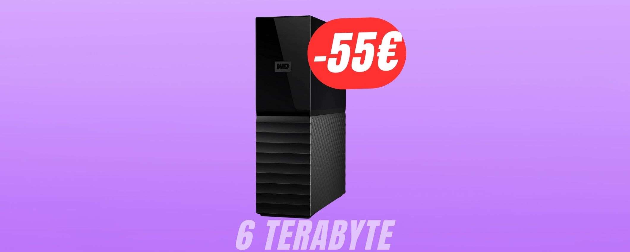 Conserva tutti i tuoi video con l'HARD DISK da 6TB a 154€ (-26%)!