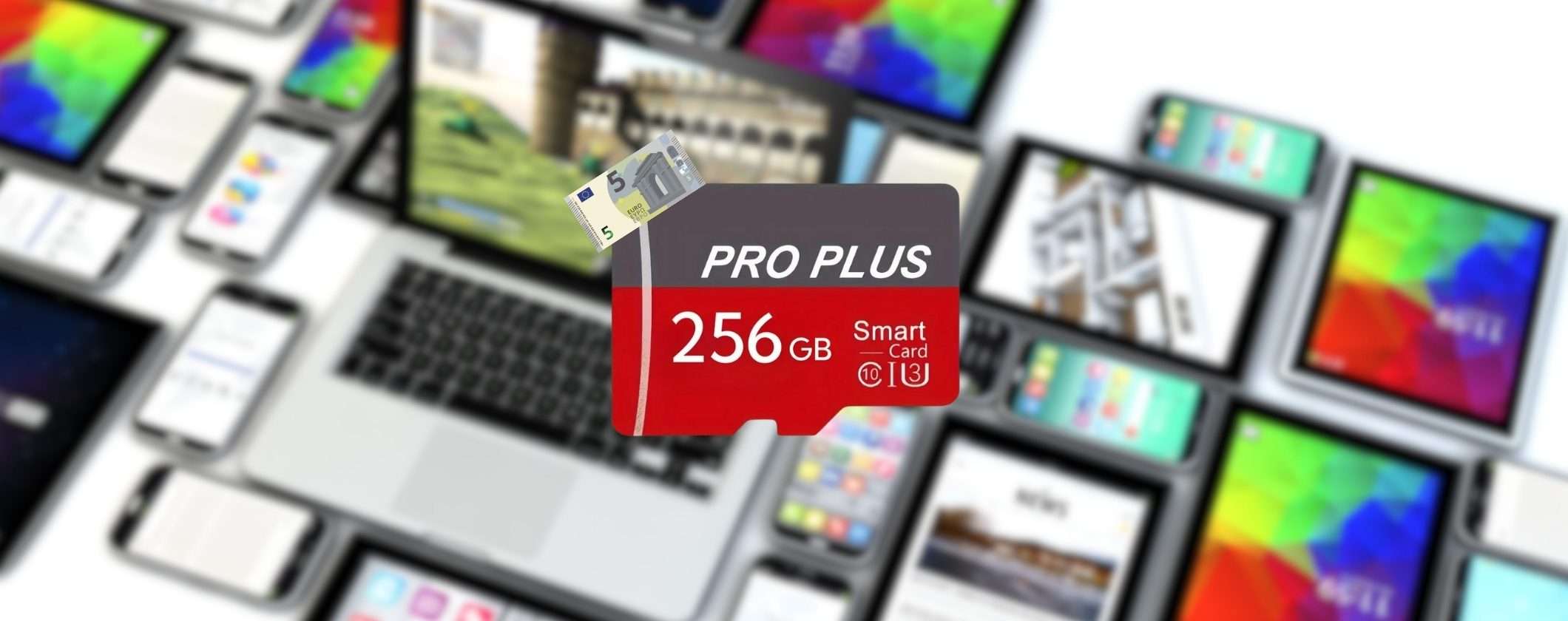 MicroSD 256GB a soli 5€ su TEMU: ULTIMI PEZZI