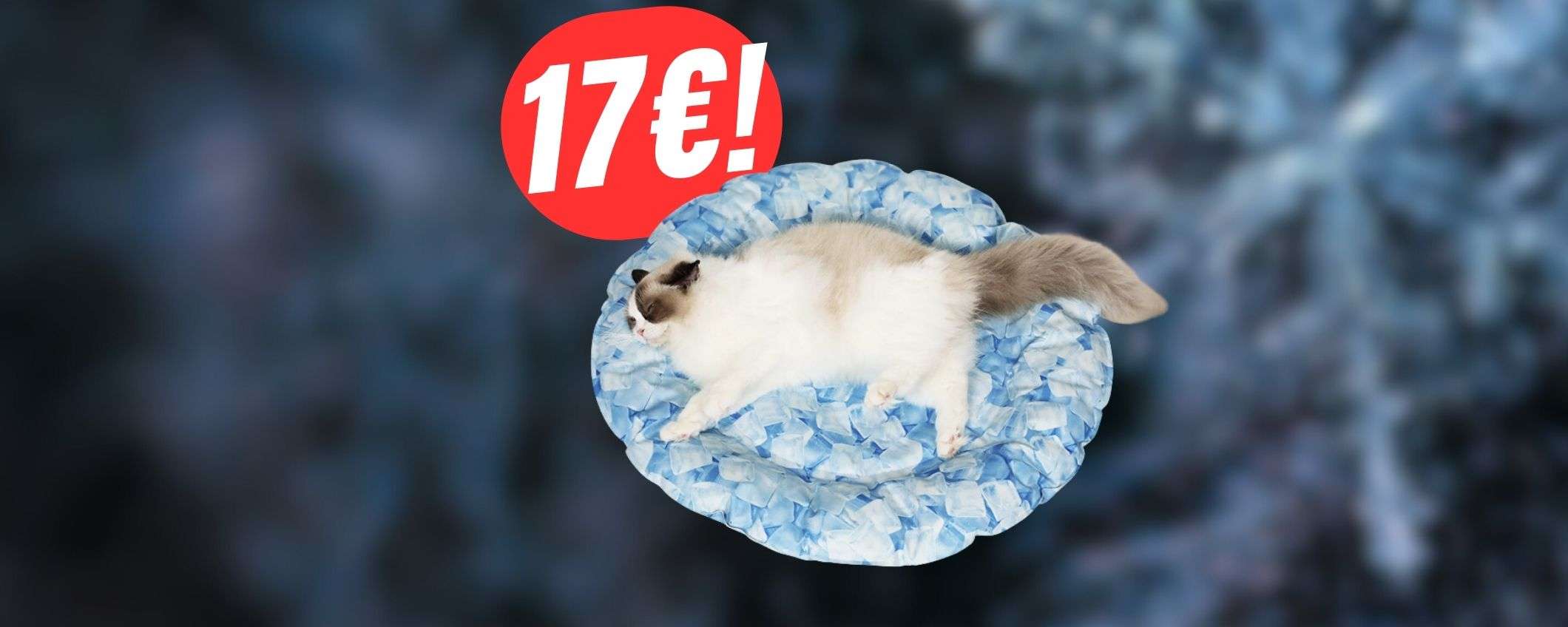 Tappenino rinfrescante per cani e gatti: solo 17€ con l'OFFERTA Amazon!