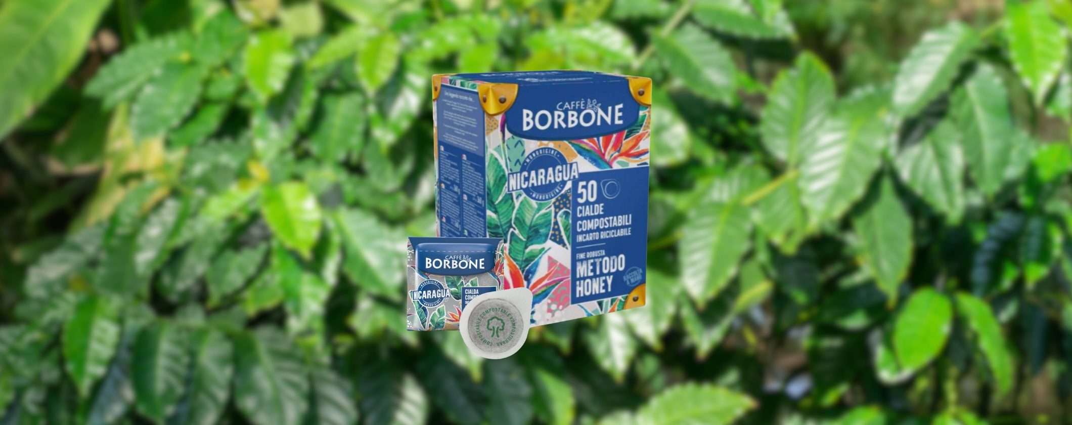 Cialde Caffè Borbone Nicaragua: ESPERIENZA UNICA a prezzo top